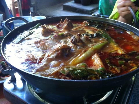 March rabbit(마치 래빗) 이미지