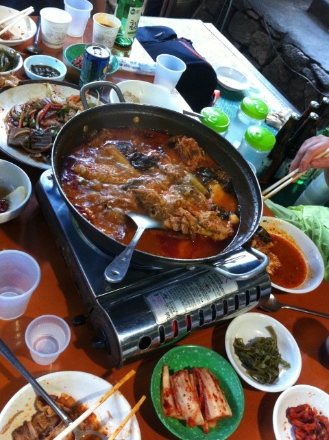 March rabbit(마치 래빗) 이미지