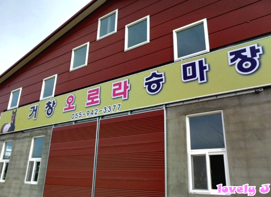 오로라승마장 이미지