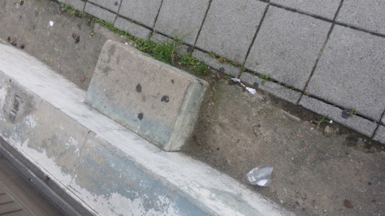 비제트이 이미지