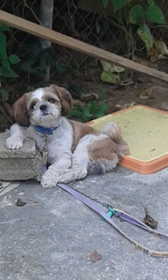 삼일카센타 이미지