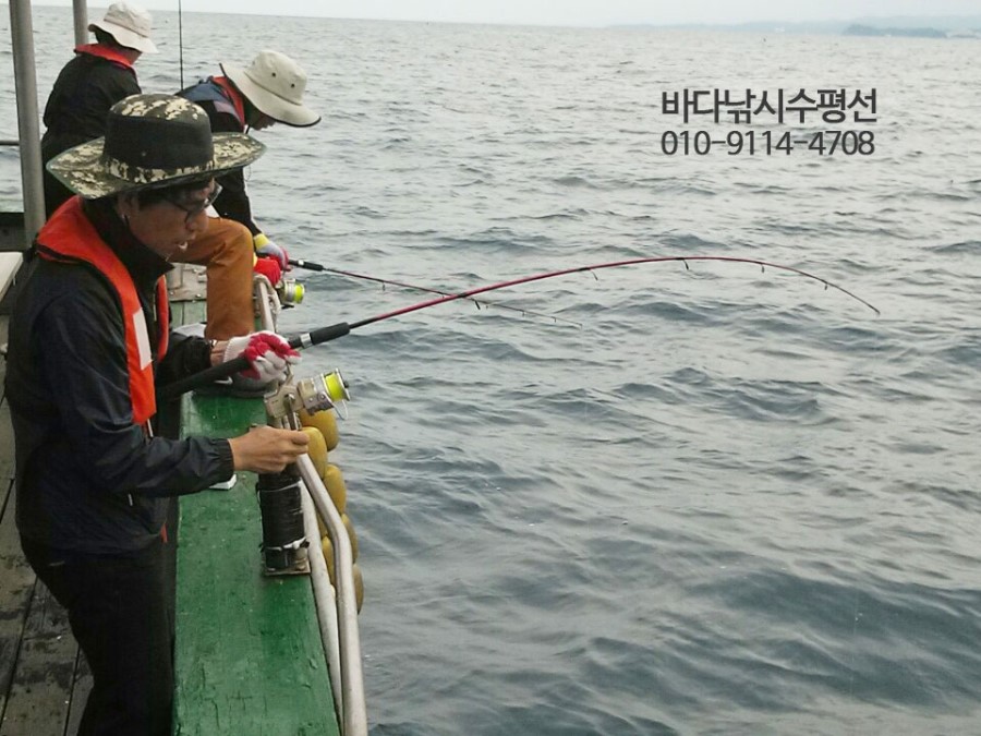 도화낚시 이미지