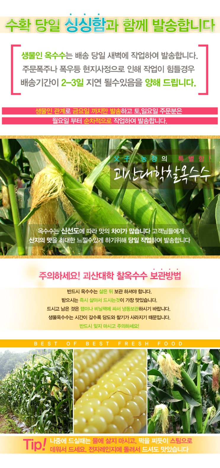 그린식품 이미지