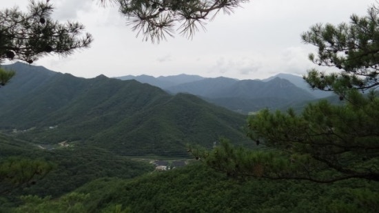 청도농원 이미지