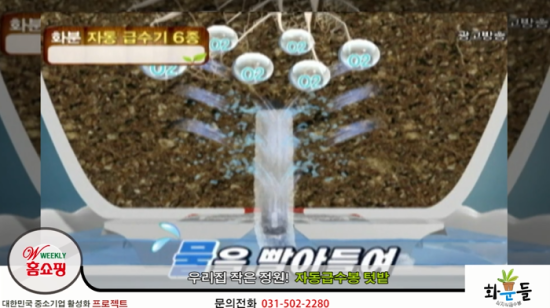 화분들닷컴 이미지