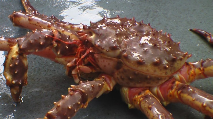 착한씨푸드(SEAFOOD) 이미지