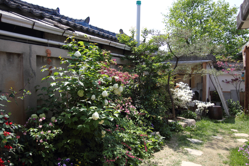 교동게하 이미지