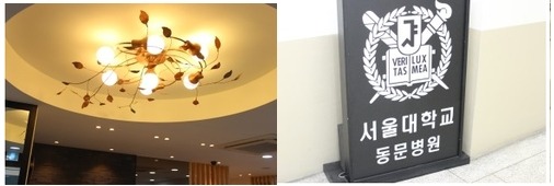참조은피부과 이미지