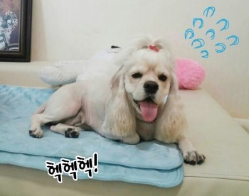 초희미용실 이미지
