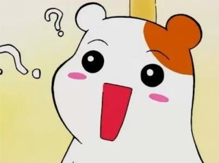 하우스본 이미지