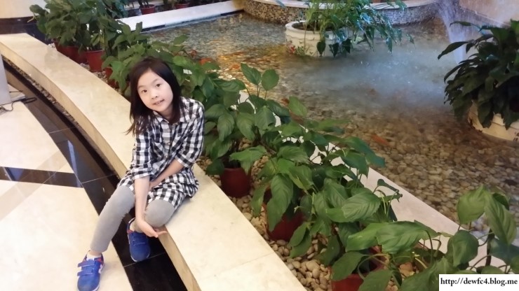 대주여행사 이미지