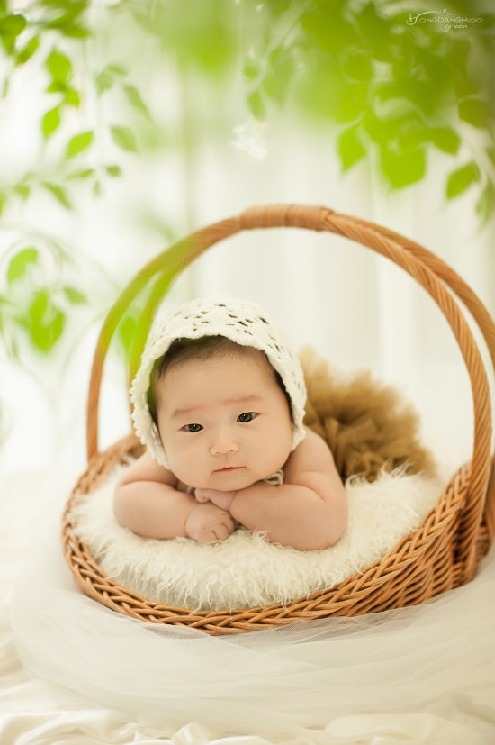 홍당무그린스튜디오 이미지