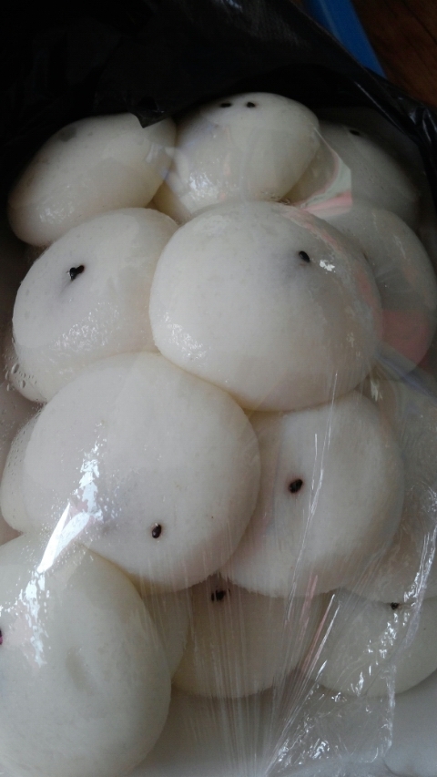 한입에꿀떡 이미지