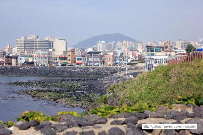 용두횟집 이미지