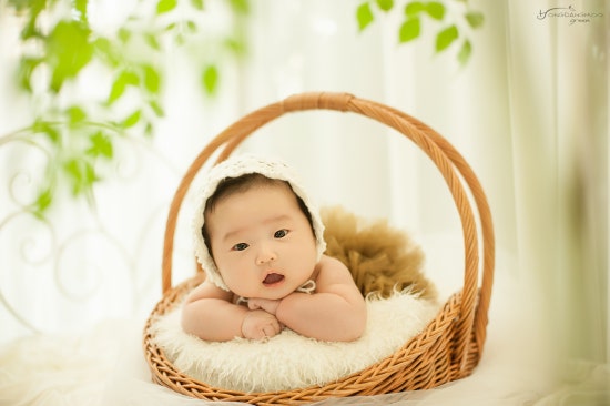 홍당무그린스튜디오 이미지
