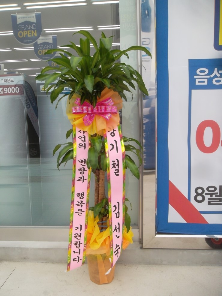 행운꽃화원 이미지