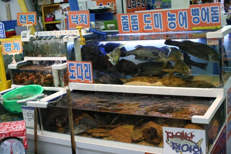 나라횟집수산 이미지