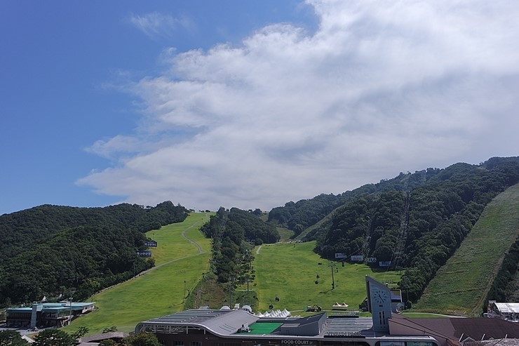 두릉산자연휴양림 이미지