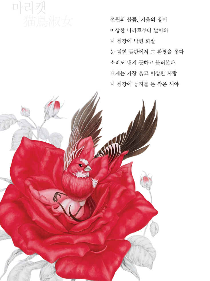박상궁 이미지