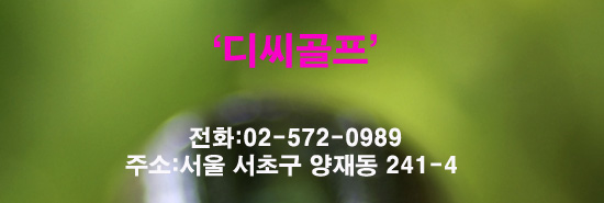 디씨쇼핑 이미지