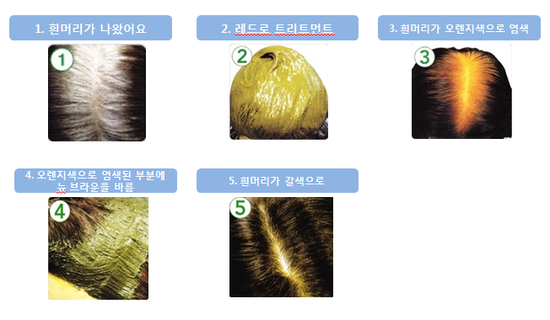 퀸즈헤나 염색 이미지