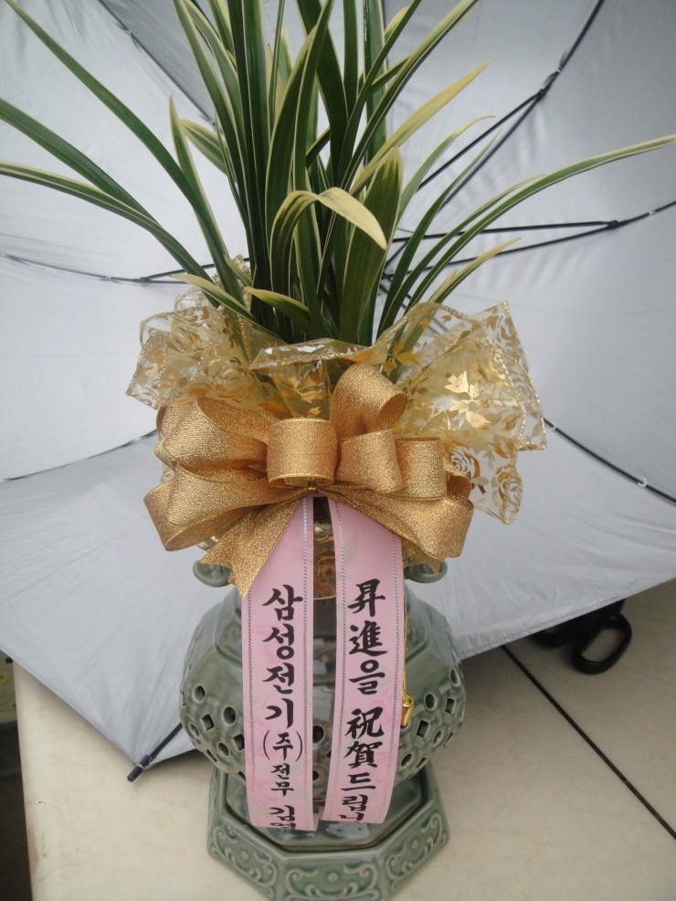 가윤꽃마을 이미지