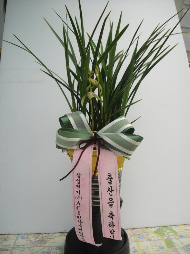 가윤꽃마을 이미지