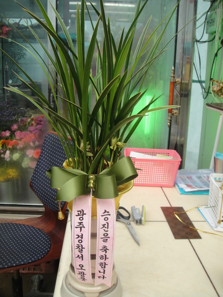 가윤꽃마을 이미지