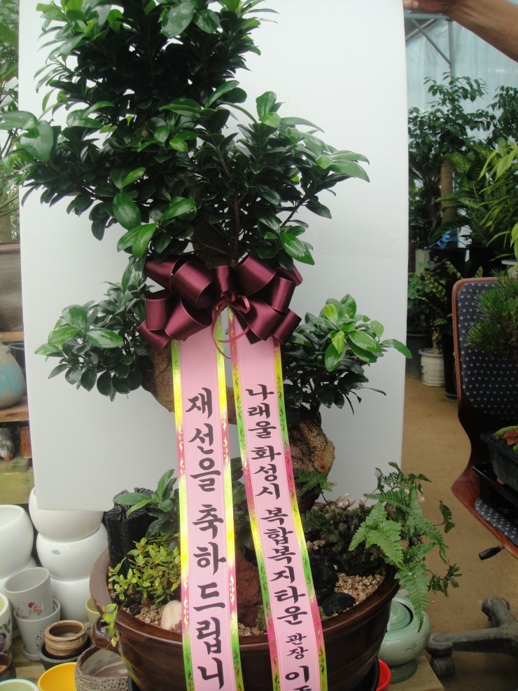 가윤꽃마을 이미지