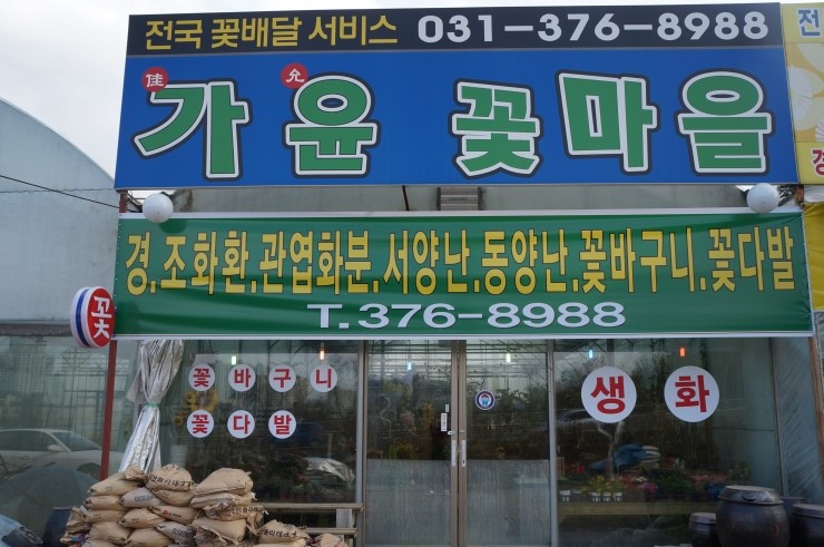 가윤꽃마을 이미지