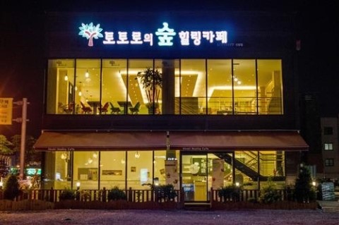 힐링숲족욕카페 이미지