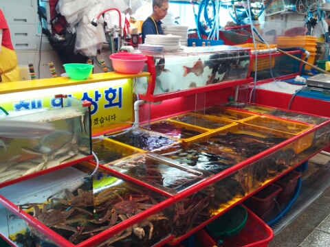 감천상회 이미지