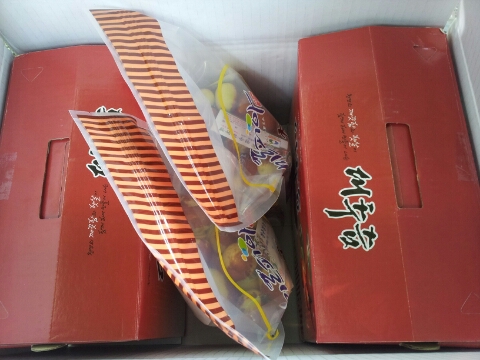 청수정가든 이미지