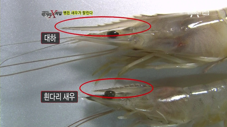 우성수산 이미지