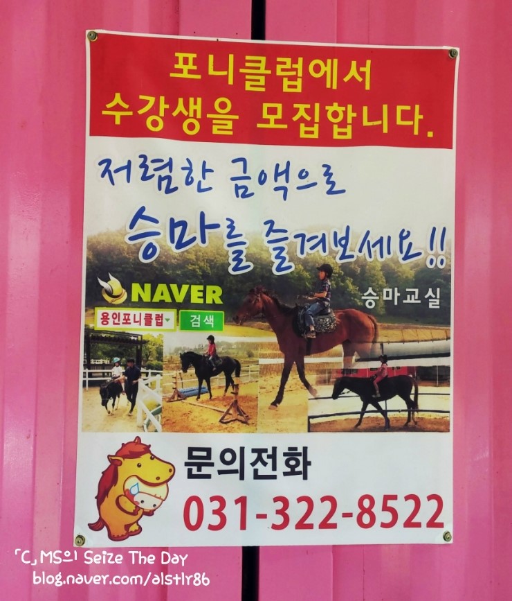 용인포니클럽 이미지
