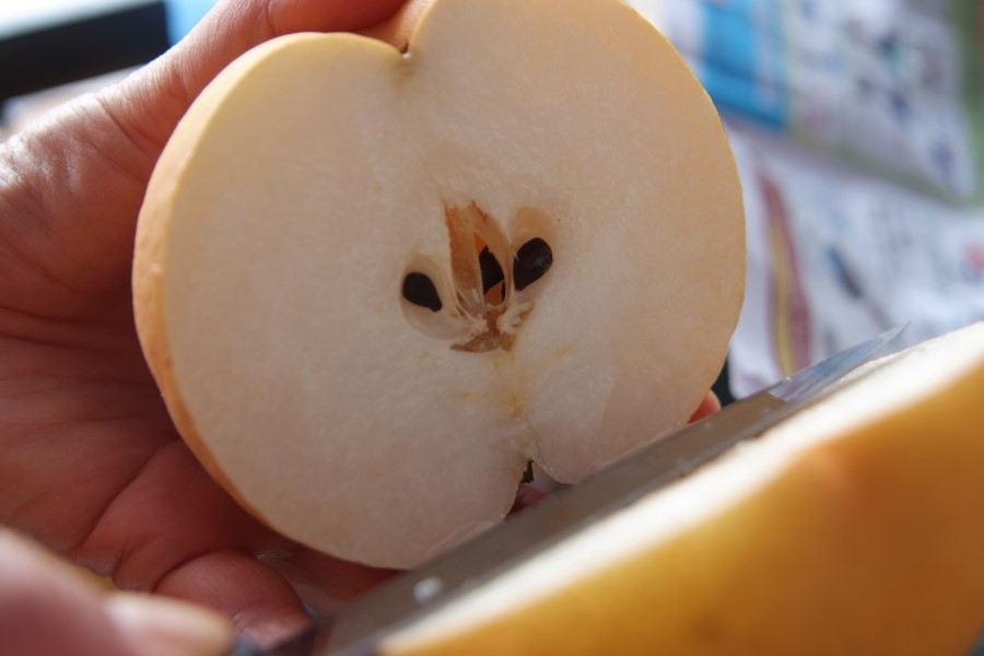 한우한마당 이미지