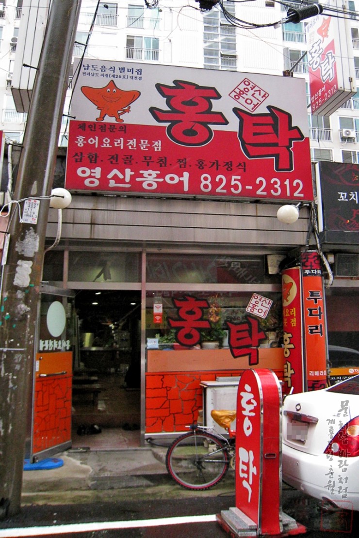 영산홍어 이미지