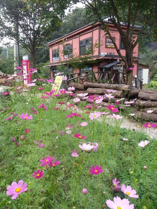 농다리천년사랑, 농다리민물매운탕집 이미지