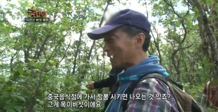 푸름약초 이미지
