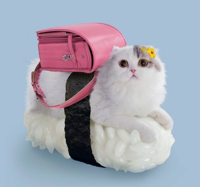 아트스시 이미지
