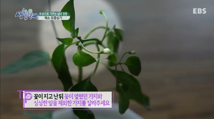 청양세탁소 이미지