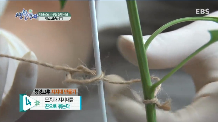 청양세탁소 이미지