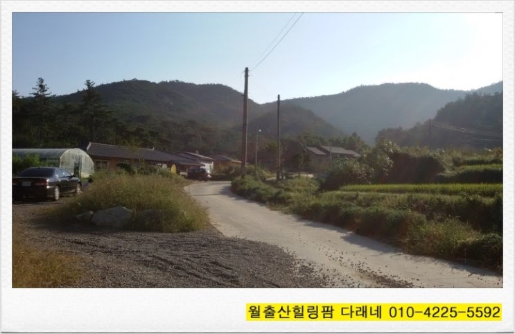 월출산힐링팜 이미지
