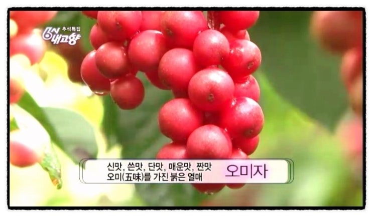 가야펜션민박 이미지
