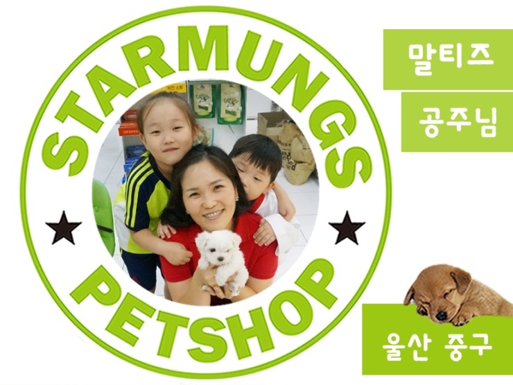 태풍식육점 이미지