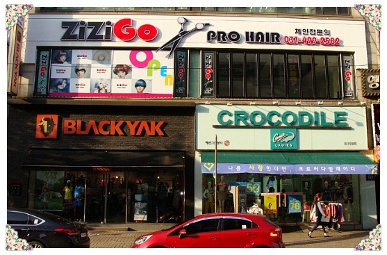 프로칼라 이미지