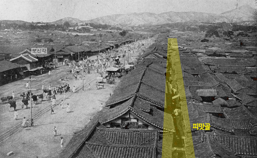 만족오향족발전주 이미지