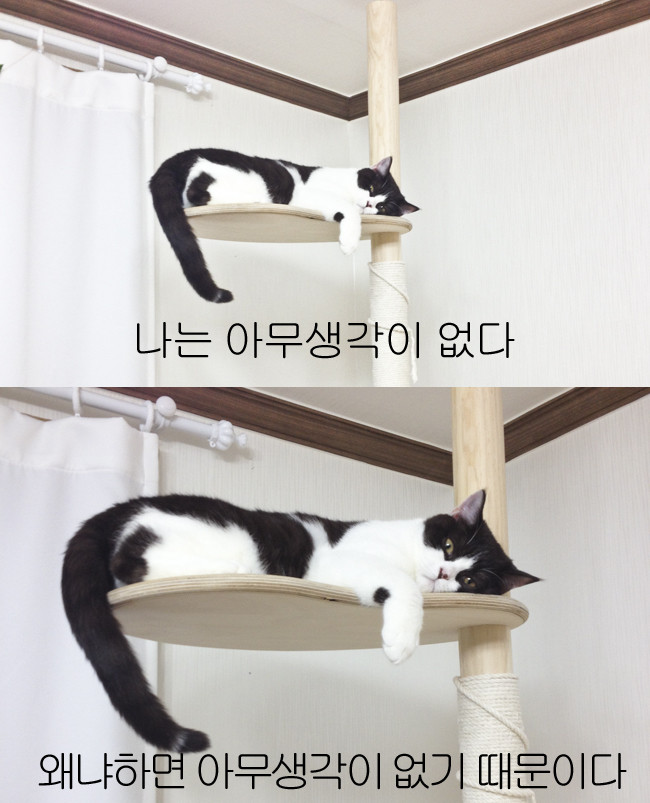 생명공감 이미지