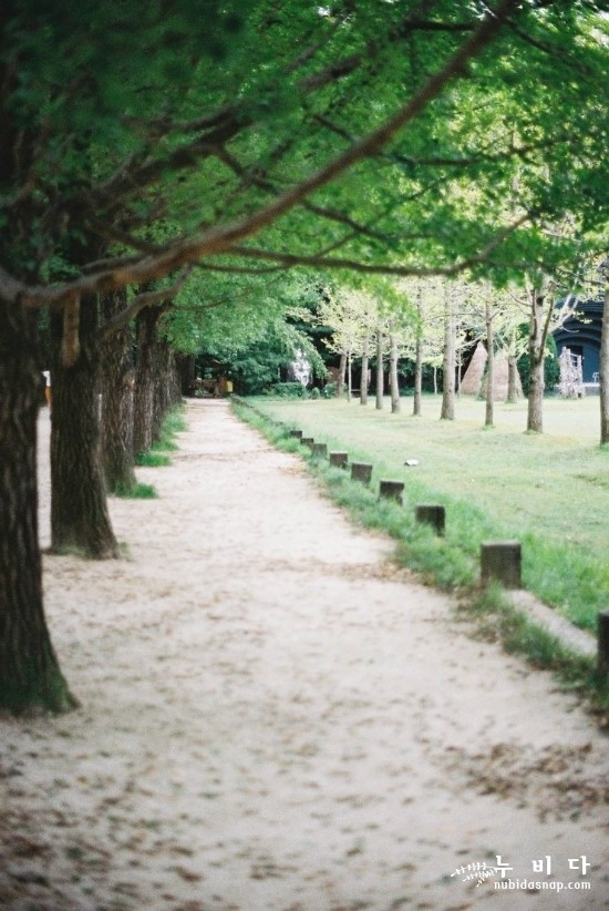세상을 누비다 이미지
