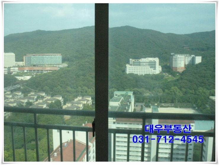 까치인력 이미지